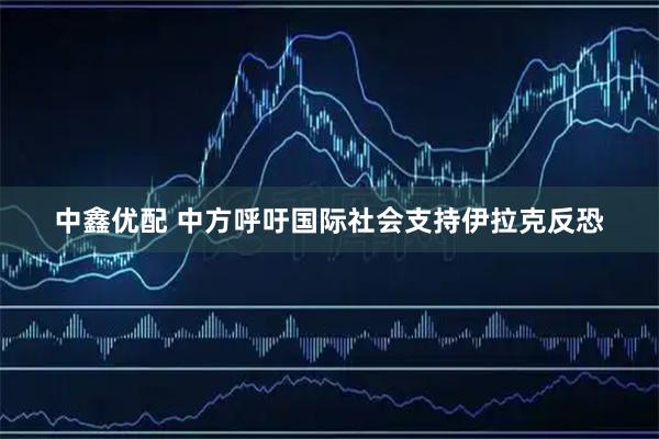中鑫优配 中方呼吁国际社会支持伊拉克反恐