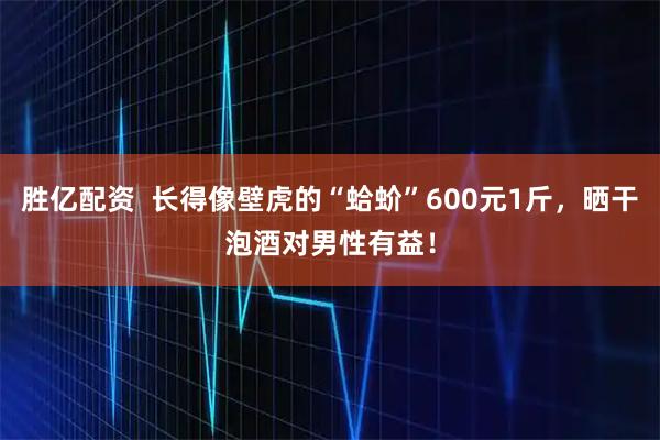 胜亿配资  长得像壁虎的“蛤蚧”600元1斤，晒干泡酒对男性有益！
