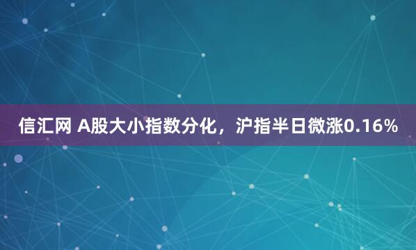 信汇网 A股大小指数分化，沪指半日微涨0.16%